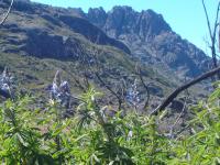 PICO DAS AGULHAS NEGRAS - Planalto